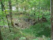 Remains of Historic Mill