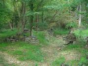 Remains of Historic Mill